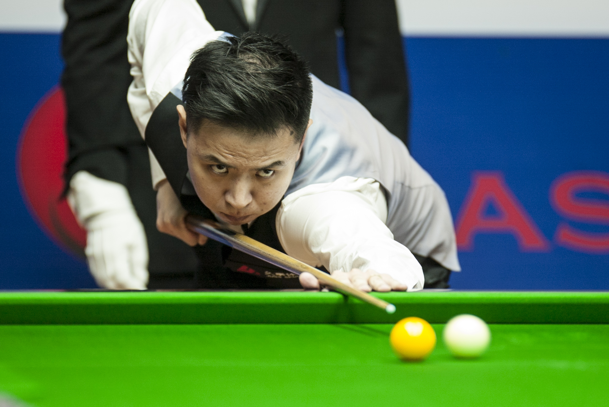 花创新纪录 花创新纪录