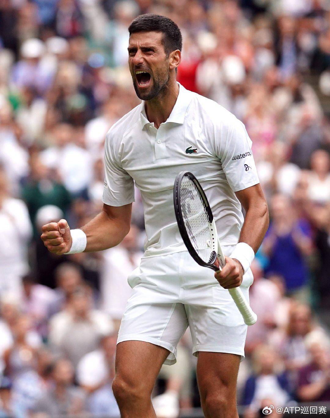 过去数季 过去数季